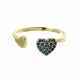 ANILLO