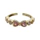 ANILLO