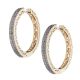 ARETES