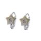 Aretes De Estrella